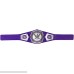 WWE Cruiserweight Championship Belt Frustration-Free Packaging B07C7PRJM2